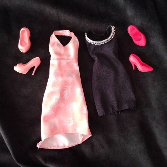 2017 Nikki and Brie Bella Barbies - Picture 4 of 4